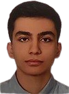 آرتین صدری